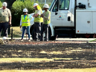 Burnt grass from a fire that occurred around 6:00 a.m. Saturday morning June 24, 2023 on the north side of Golf Road west of Meier Road in Mount Prospect