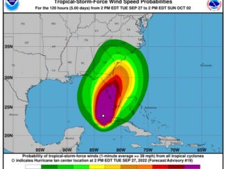 Tropical-Storm-Force Wind Speed Probabilities -- the probabilities of sustained (1-minute average) surface wind speeds equal to or exceeding 34 kt (39 mph (SOURCE: National Hurricane Center).